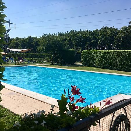 Agriturismo Corte Pellegrini Сан-Мартино-Буон-Альберго Экстерьер фото