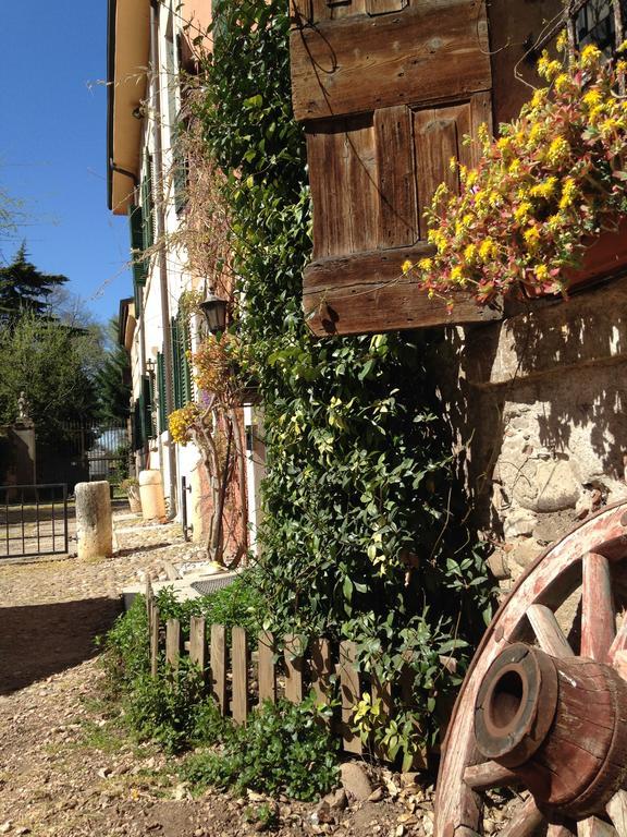 Agriturismo Corte Pellegrini Сан-Мартино-Буон-Альберго Экстерьер фото